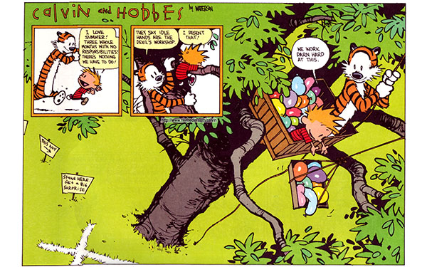 perspective in storytelling birds eye