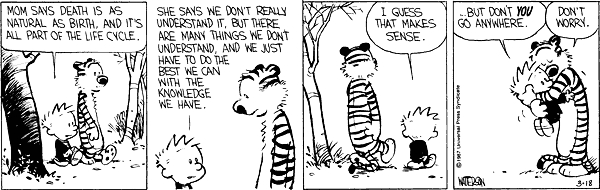 perspective in storytelling cartoons